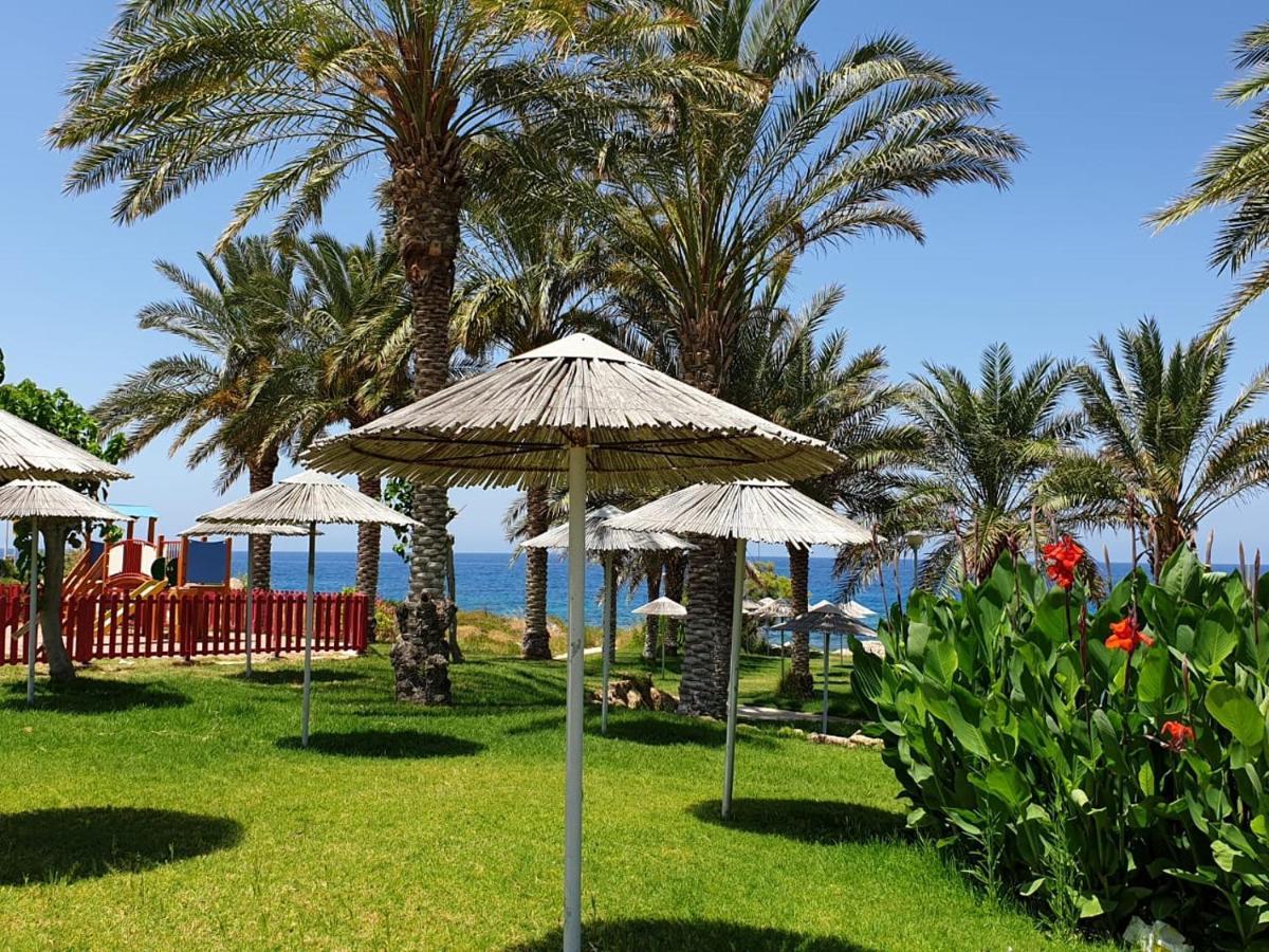 Seaview Sunset Holiday Apartments Pafos Dış mekan fotoğraf